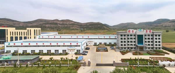 公司簡介 公司簡介