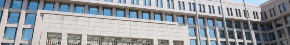 國(guó)家電投集團(tuán)東北電力有限公司